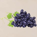 Grapes - Sharad Seedless
