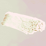 Mushroom - Enokii - Imported
