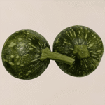 Pumpkin - Small