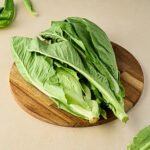 Romaine Lettuce - Hydroponically Grown With Live Roots