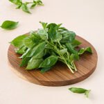 Basil Italian - Hydroponically Grown